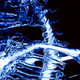 Image for article titled This life-size glass skeleton is illuminated by krypton